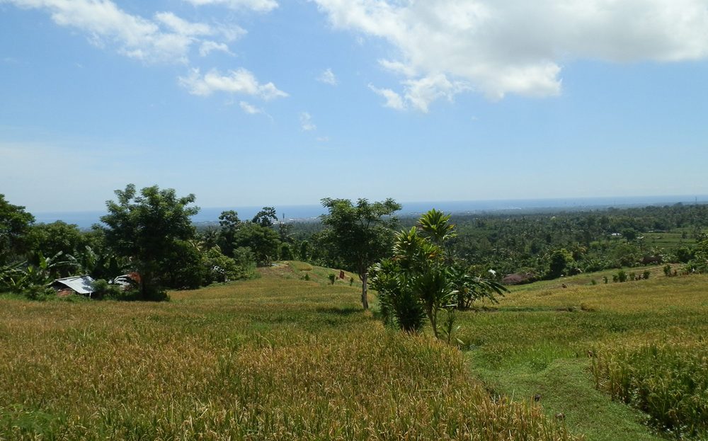 bali land for sale cheap