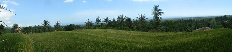 Seaview North Bali land