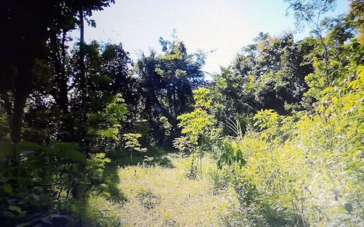 north bali hillside land