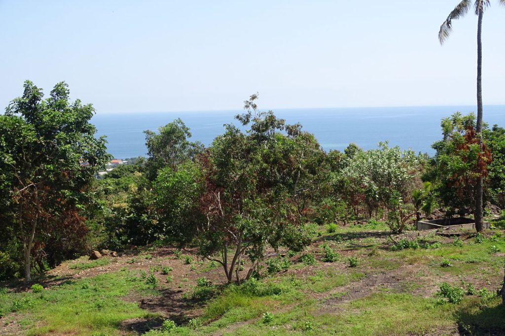 Bali ocean view land for sale freehold