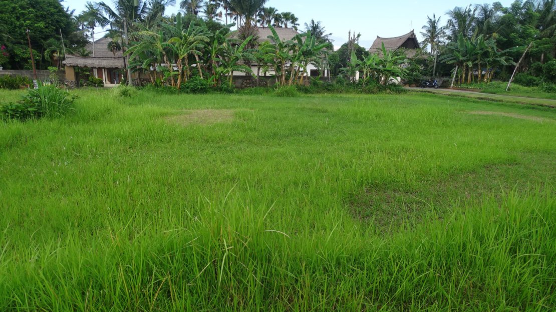 North Bali land close to beach