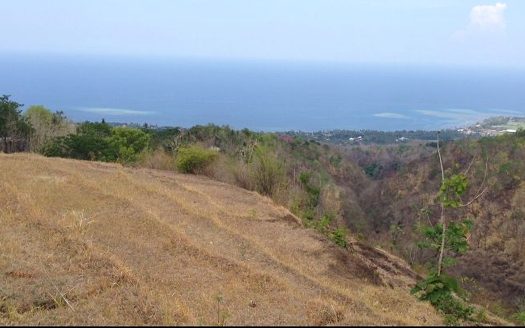 North Bali Sea View land