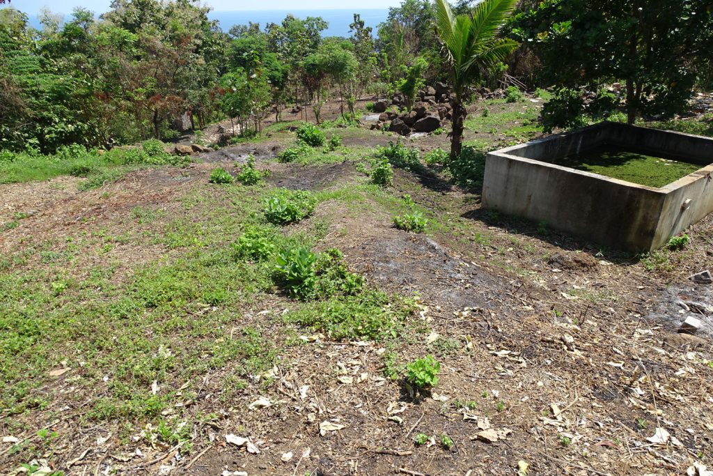 Bali ocean view land for sale