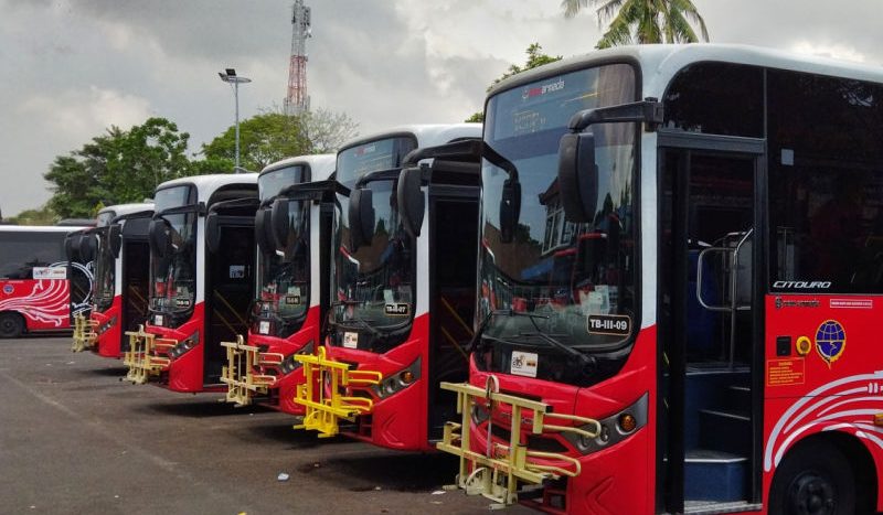 Bali Transport System