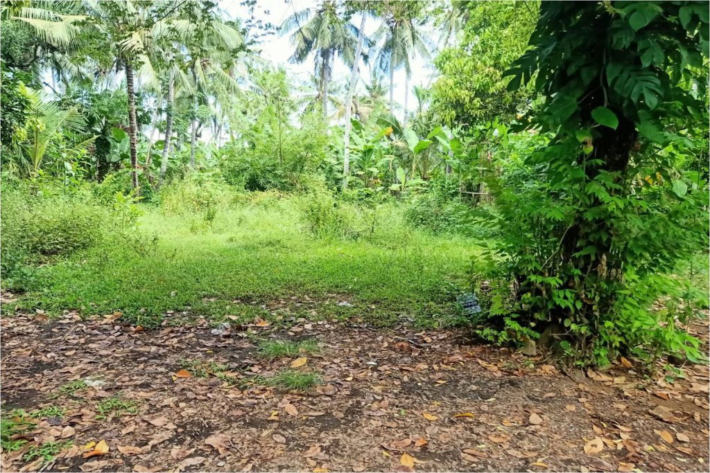Lovina North Bali Land for sale