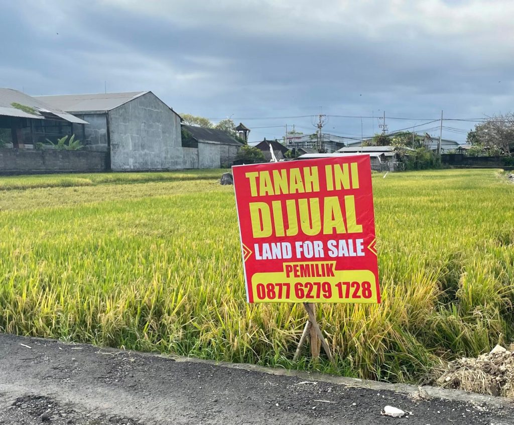 Bali Building Ban Moratorium