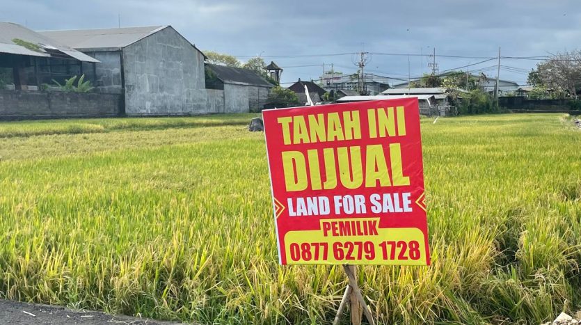 Bali Building Ban Moratorium