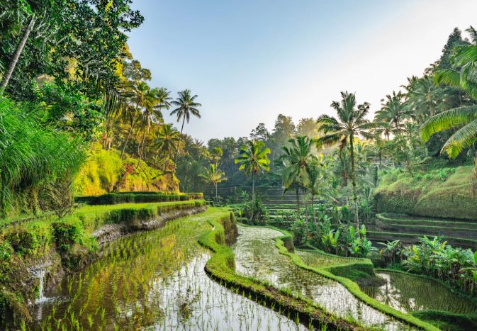 Bali Protect Green Landscapes Heritage