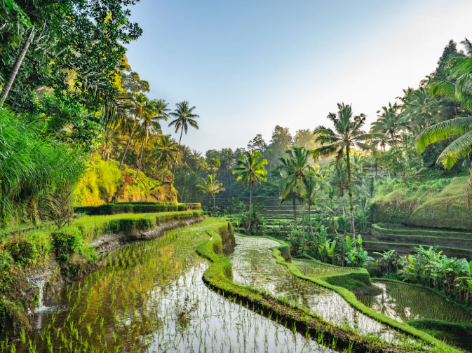 Bali Protect Green Landscapes Heritage