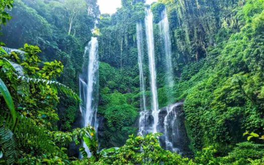 Bali Protect Green Landscapes