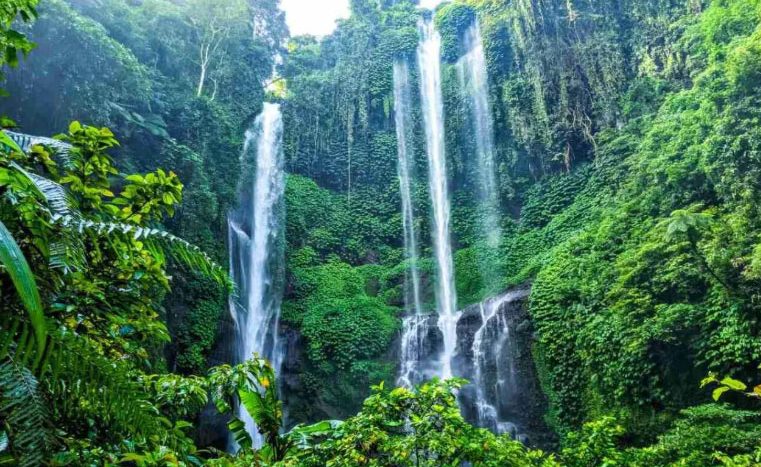 Bali Protect Green Landscapes