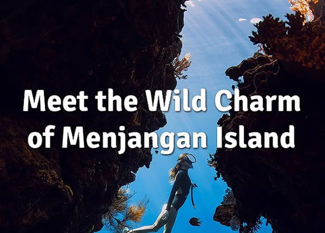 North Bali's Marine Ecosystem