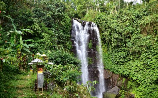 Bali Tourism Development 2026